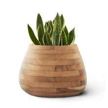 Load image into Gallery viewer, Tuber Planter 667 x 430 mm
