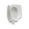 3-53451 Mural Urinal with Fixing Accessories and Plug Ref.8-22903000   Color: White (Wt)